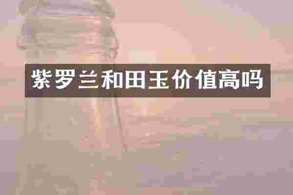 紫罗兰和田玉价值高吗