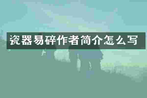 瓷器易碎作者简介怎么写