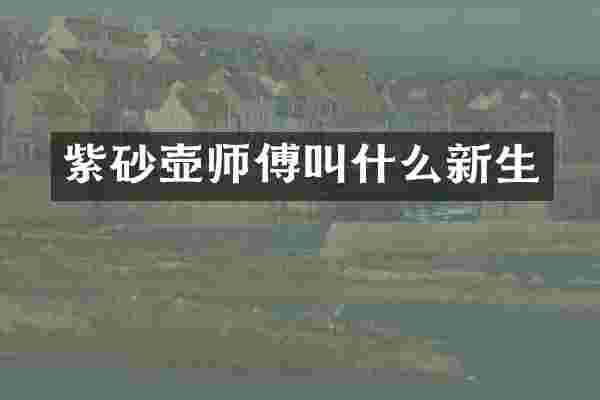 紫砂壶师傅叫什么新生
