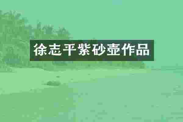 徐志平紫砂壶作品