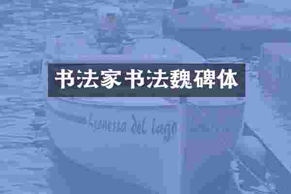 书法家书法魏碑体
