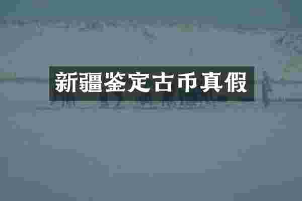 新疆鉴定古币真假