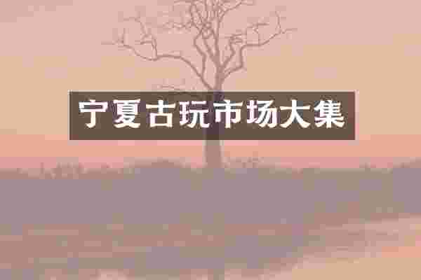 宁夏古玩市场大集