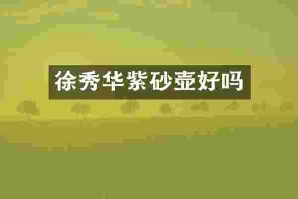 徐秀华紫砂壶好吗
