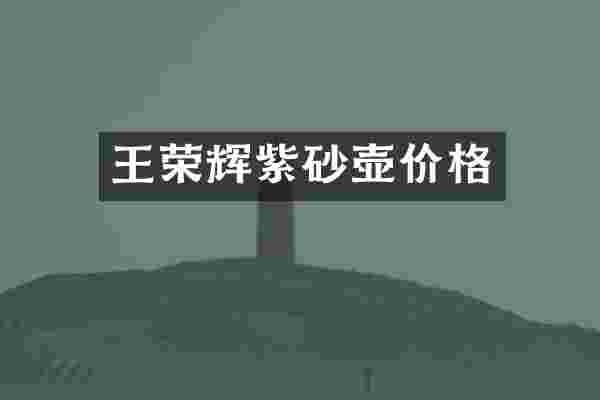 王荣辉紫砂壶价格