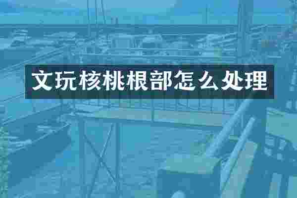 文玩核桃根部怎么处理