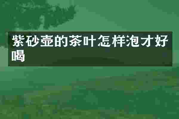 紫砂壶的茶叶怎样泡才好喝