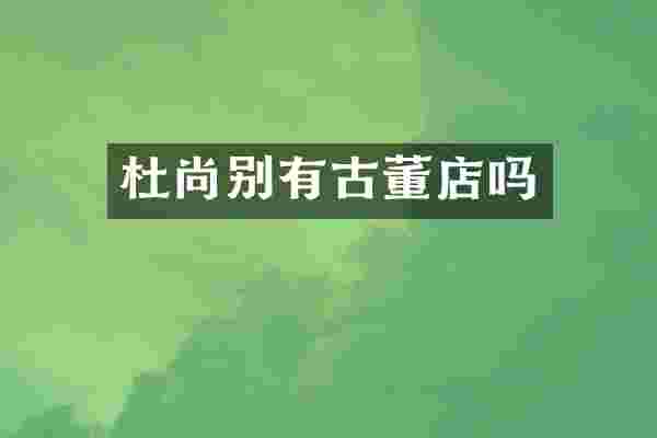 杜尚别有古董店吗