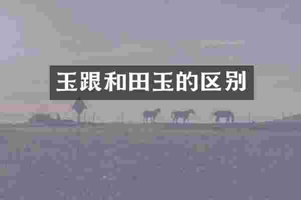 玉跟和田玉的区别
