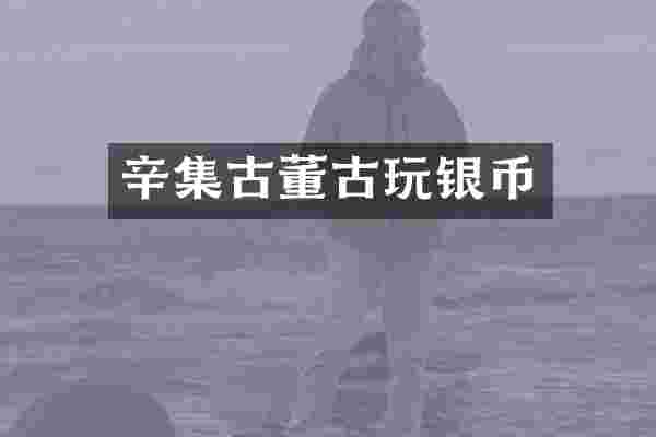 辛集古董古玩银币