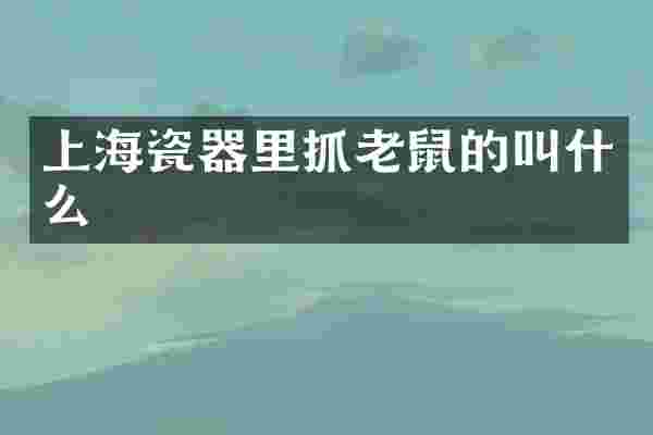 上海瓷器里抓老鼠的叫什么