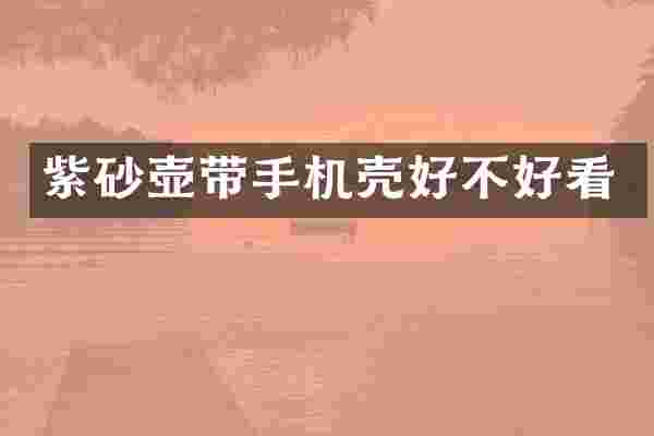 紫砂壶带手机壳好不好看