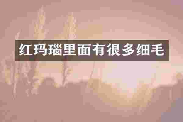 红玛瑙里面有很多细毛