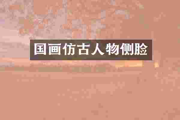 国画仿古人物侧脸