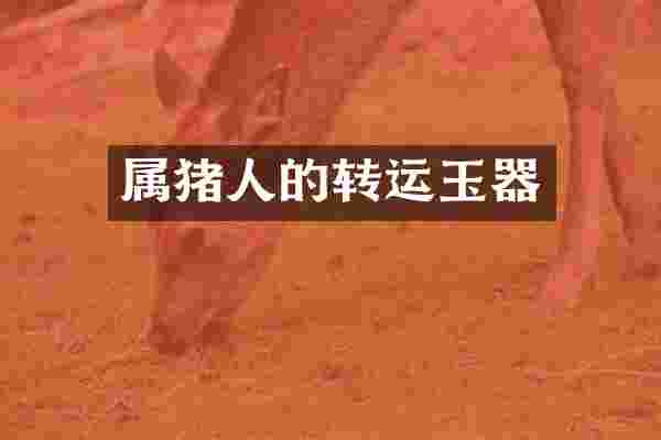 属猪人的转运玉器