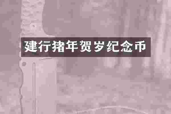 建行猪年贺岁纪念币