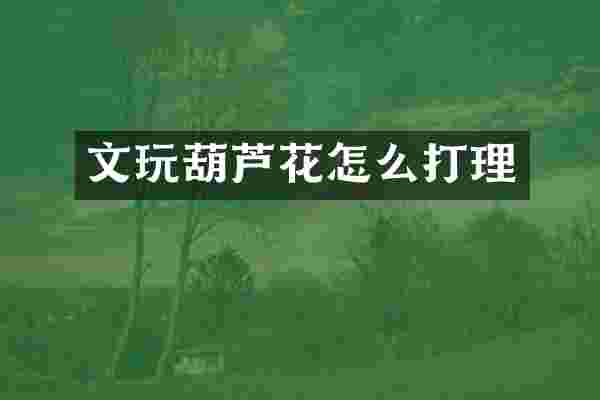 文玩葫芦花怎么打理