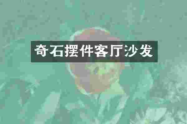 奇石摆件客厅沙发