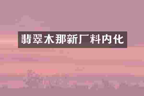 翡翠木那新厂料内化