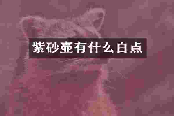 紫砂壶有什么白点