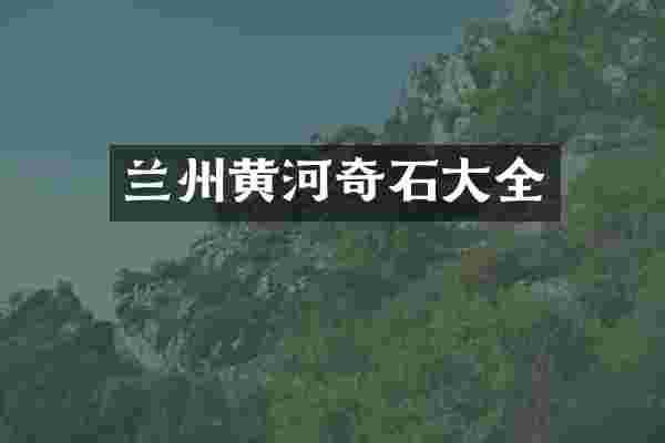 兰州黄河奇石大全