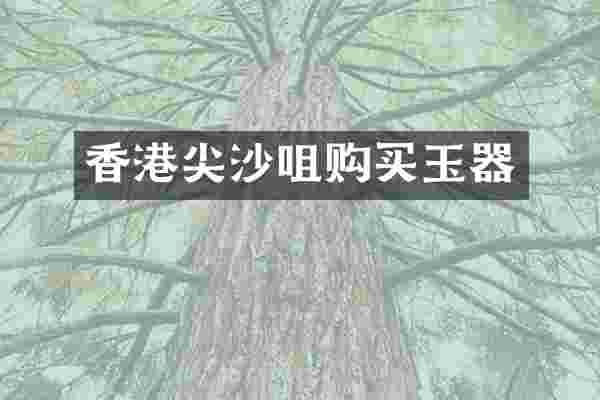香港尖沙咀购买玉器