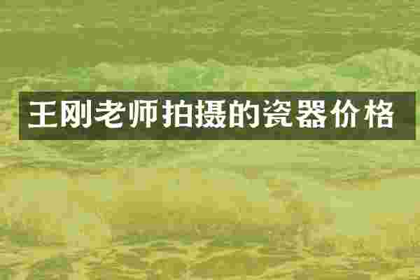 王刚老师拍摄的瓷器价格
