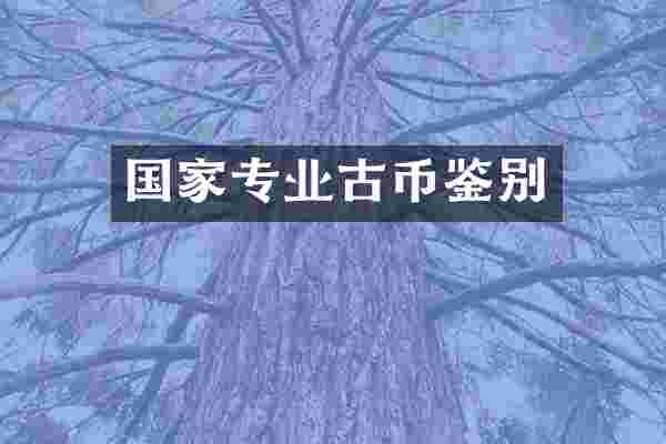 国家专业古币鉴别