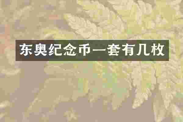 东奥纪念币一套有几枚