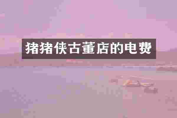 猪猪侠古董店的电费