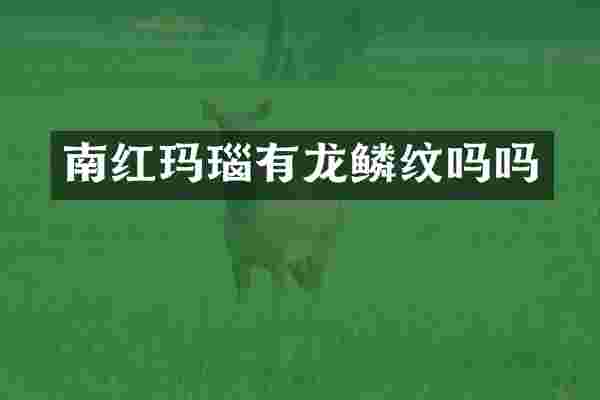 南红玛瑙有龙鳞纹吗吗