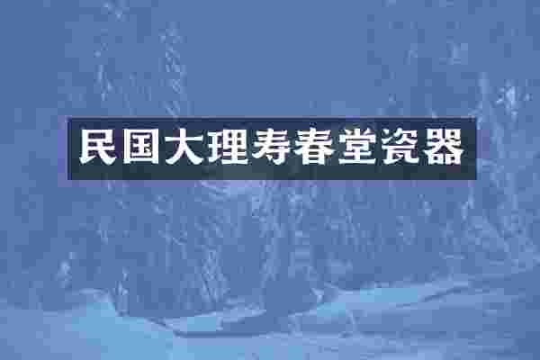 民国大理寿春堂瓷器