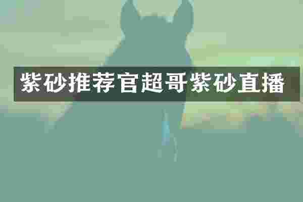 紫砂推荐官超哥紫砂直播