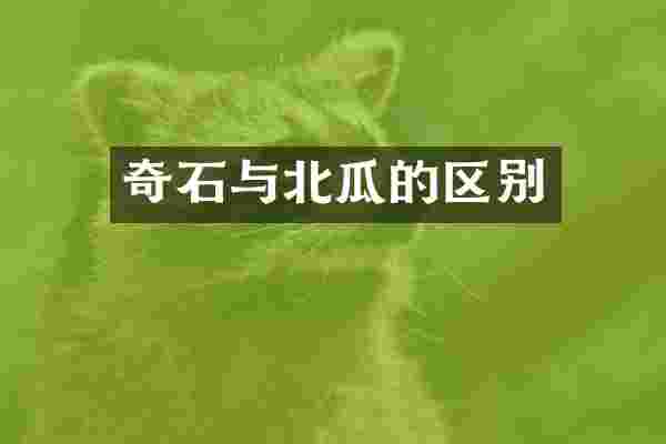 奇石与北瓜的区别