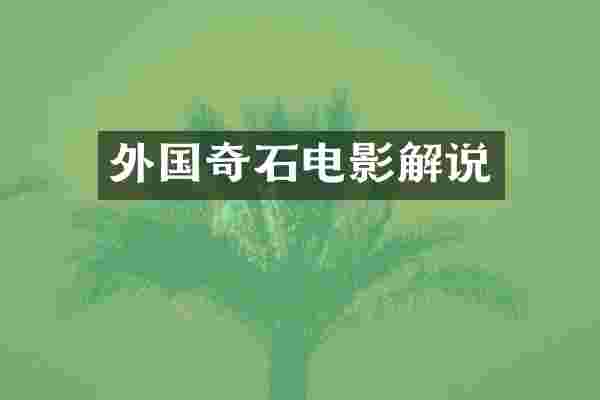 外国奇石电影解说