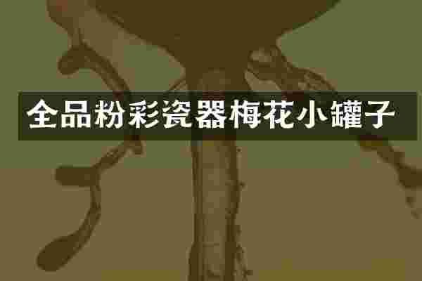 全品粉彩瓷器梅花小罐子