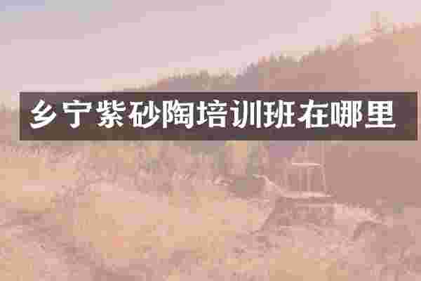 乡宁紫砂陶培训班在哪里