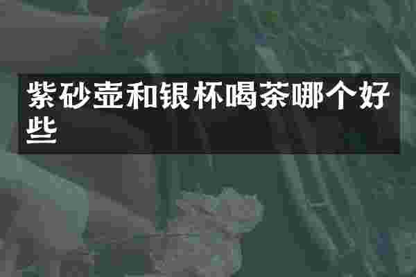 紫砂壶和银杯喝茶哪个好些
