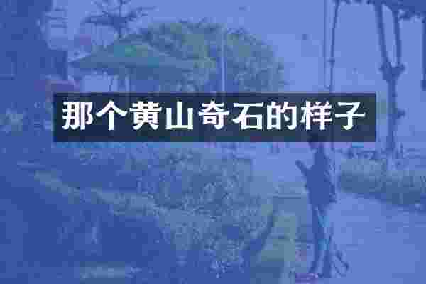 那个黄山奇石的样子