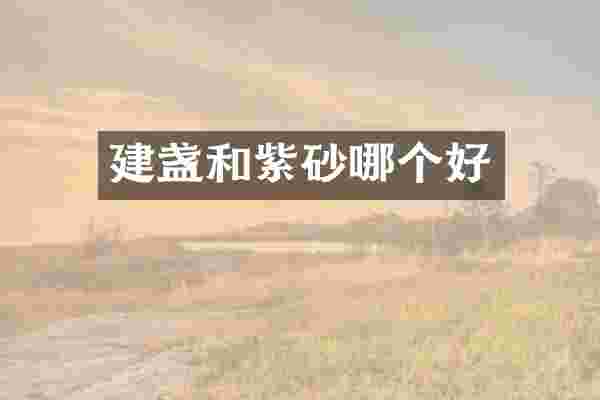 建盏和紫砂哪个好