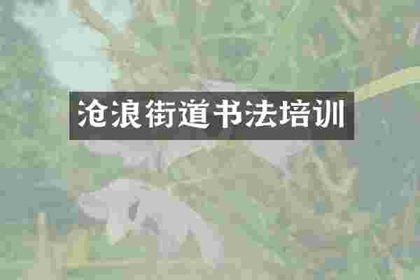 沧浪街道书法培训