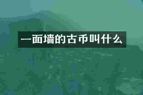一面墙的古币叫什么