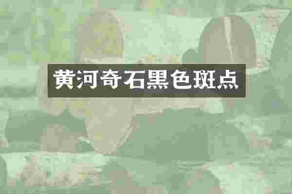 黄河奇石黑色斑点