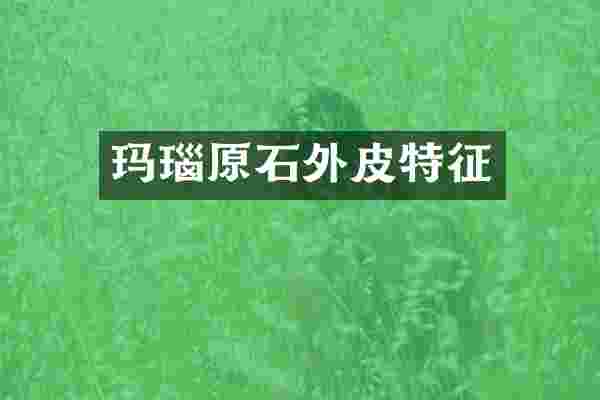 玛瑙原石外皮特征