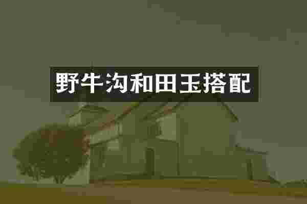 野牛沟和田玉搭配