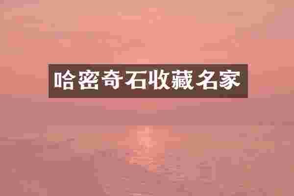 哈密奇石收藏名家