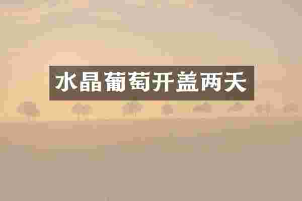水晶葡萄开盖两天