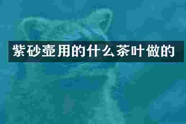 紫砂壶用的什么茶叶做的