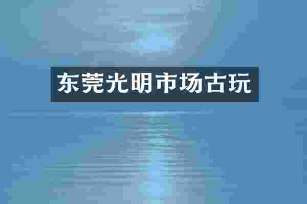东莞光明市场古玩