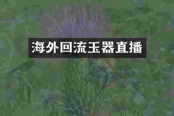 海外回流玉器直播